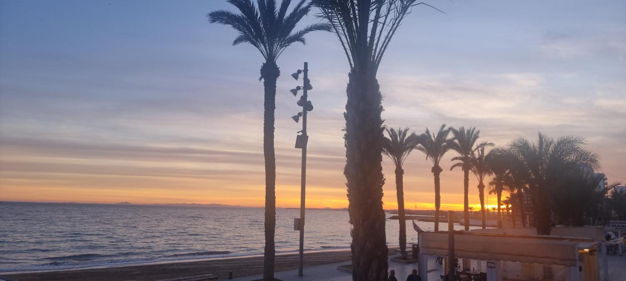 Residenz Habaneras Lägenhet Torrevieja Exteriör bild